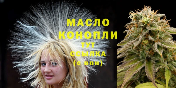 стаф Осташков
