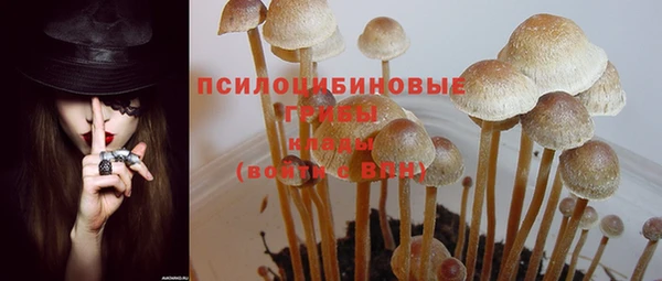 стаф Осташков