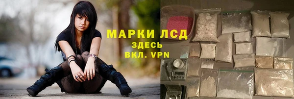 стаф Осташков