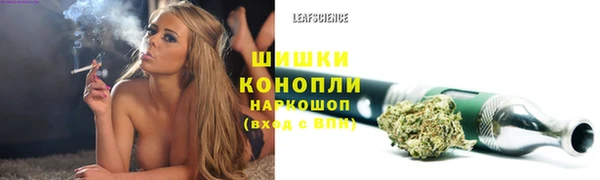 стаф Осташков