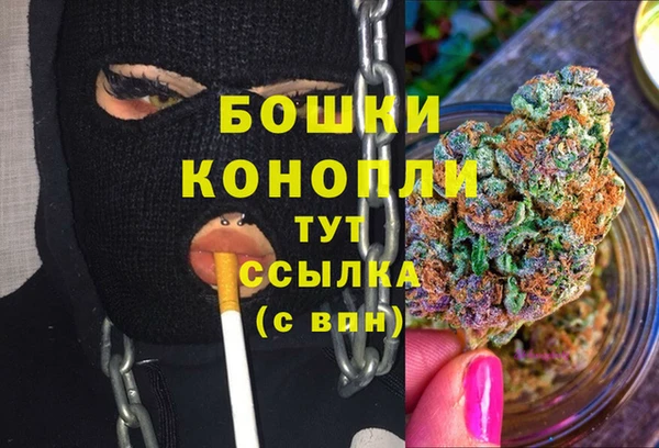 стаф Осташков