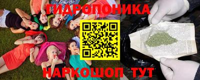 ГАЛЛЮЦИНОГЕННЫЕ ГРИБЫ Берёзовский