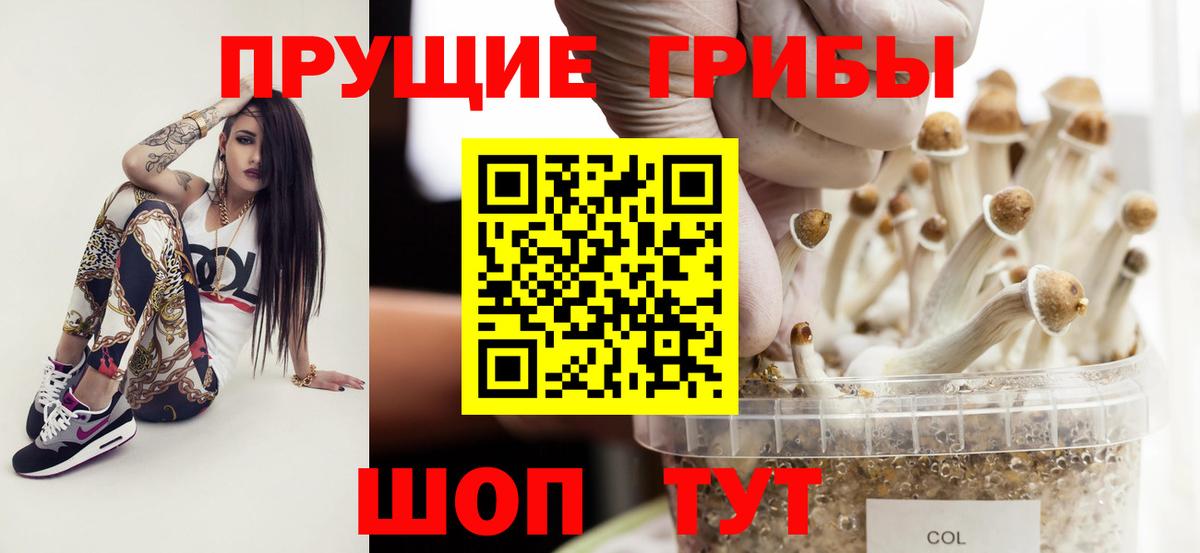 Дзержинск  Псилоцибиновые грибы GOLDEN TEACHER  Вход с VPN 