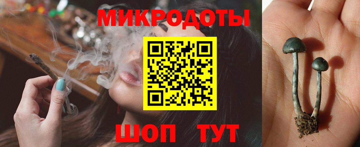 Псилоцибиновые грибы Psilocybine cubensis Дзержинск